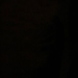 Meet your Posher, Earnestine